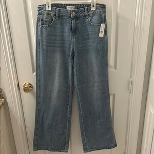 PacSun Casey Low Rise Baggy Wide Leg Style